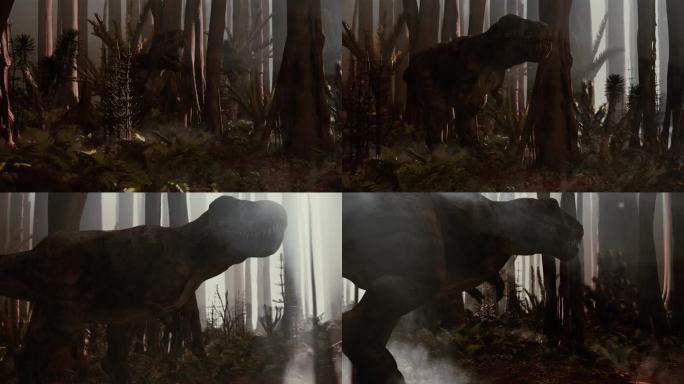 霸王龙穿过森林三维动画展示恐龙穿行在树林