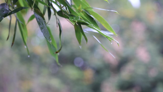 雨.下雨特写