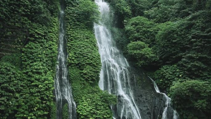 游览森林瀑布和池塘湿山的绿色自然。清晰的生态，生动的岩石林地或令人惊叹的热带雨林在郁郁葱葱的丛林海岸