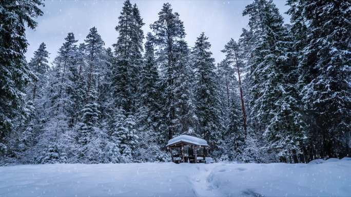 林海雪原 智取威虎山