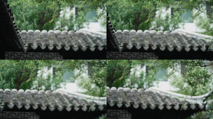 中国风屋檐唯美空镜实拍视频