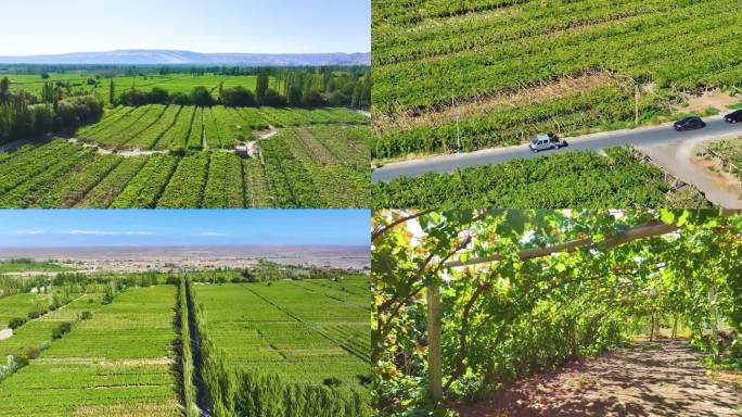 新疆鄯善县连木沁镇葡萄种植园和农村环境