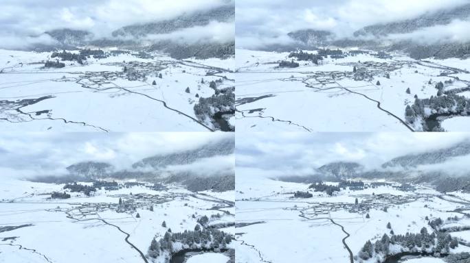 西藏林芝鲁朗林海雪原冬天乡村雪景冬景航拍
