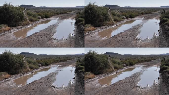 静态拍摄:在平坦、干旱的景观中，破碎的栅栏门处的泥坑