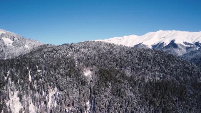 高山全景坡面覆盖着苍翠的森林，冬季积雪。鸟瞰图