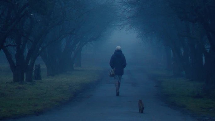 一个女人的后景，穿着暖和的夹克，戴着帽子，提着包，牵着一只猫，沿着一条雾蒙蒙的秋日小路走着，小路上没