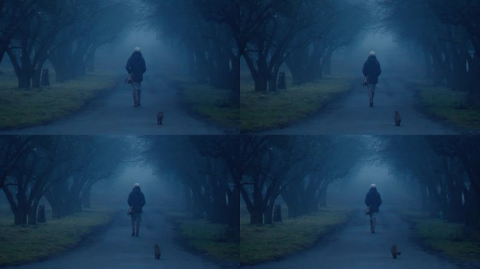 一个女人的后景，穿着暖和的夹克，戴着帽子，提着包，牵着一只猫，沿着一条雾蒙蒙的秋日小路走着，小路上没