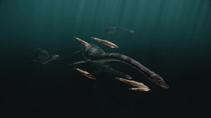 蛇颈龙狩猎三维动画水中远古生物视频素材