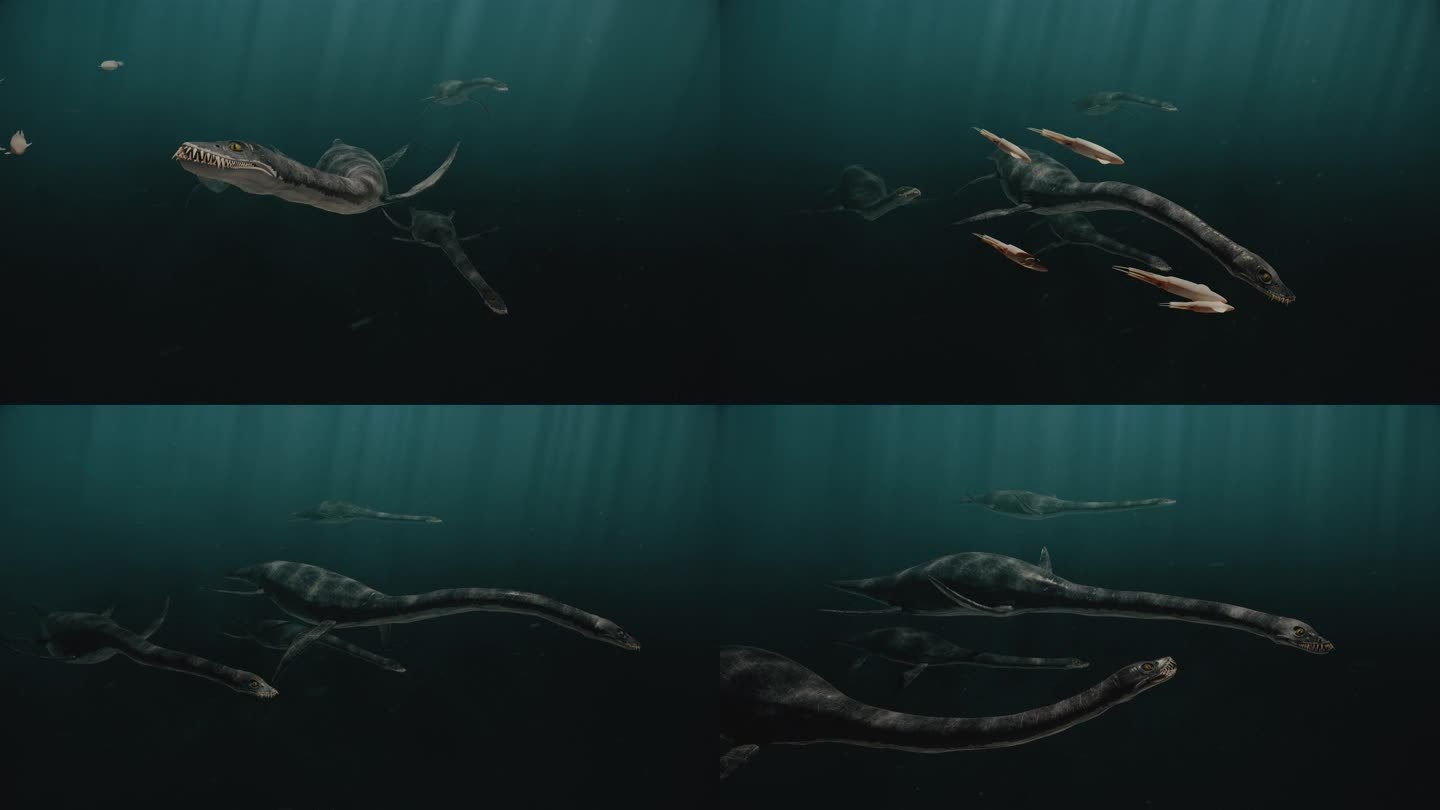 蛇颈龙狩猎三维动画水中远古生物视频素材