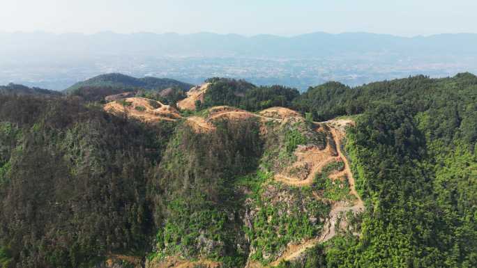 重庆缙云山山火一年后，森林生态逐渐恢复