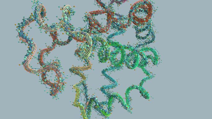 氨基酸链或生物分子称为蛋白质-三维插图