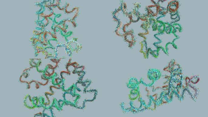 氨基酸链或生物分子称为蛋白质-三维插图