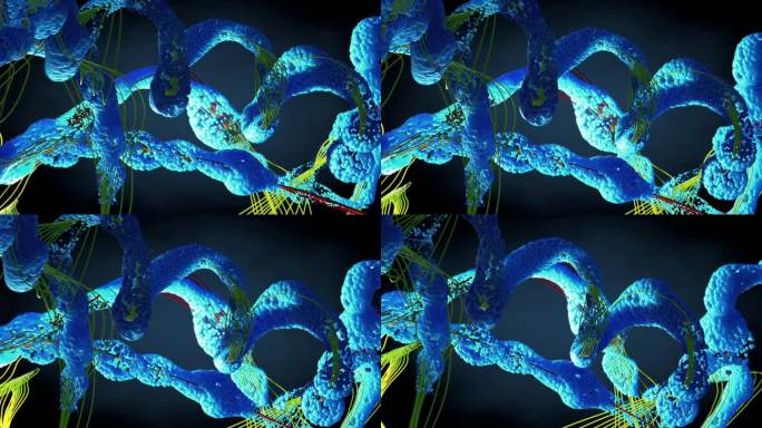 氨基酸链或生物分子称为蛋白质-三维插图