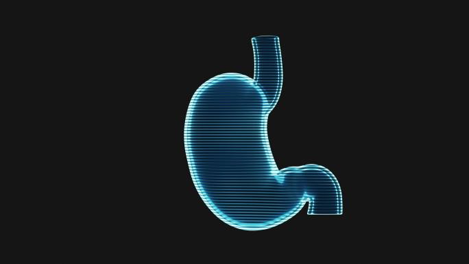 胃部全息影像效果图循环动画3D渲染