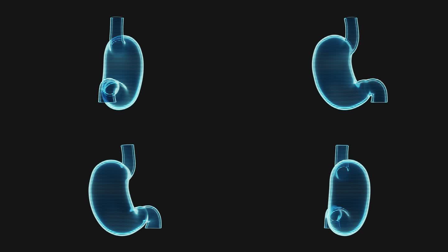 胃部全息影像效果图循环动画3D渲染