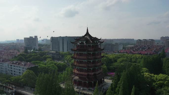 川沙公园 鹤鸣楼 锻炼人群