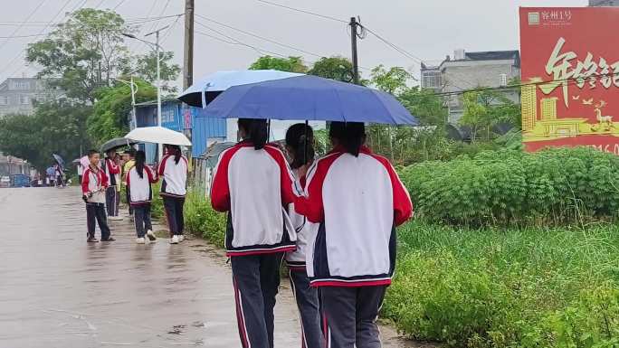 小学生放学背书包雨伞走路回家行走雨中回家