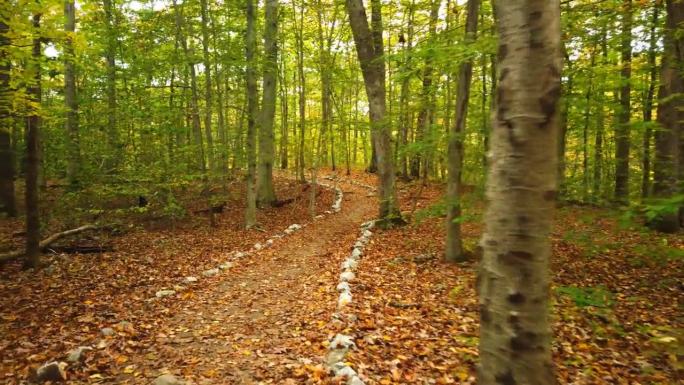 徒步穿越秋天的林间空地山的正面视图