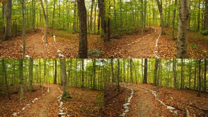 徒步穿越秋天的林间空地山的正面视图