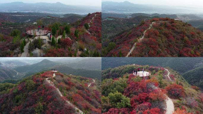 金秋时节最美山野风景（合集）