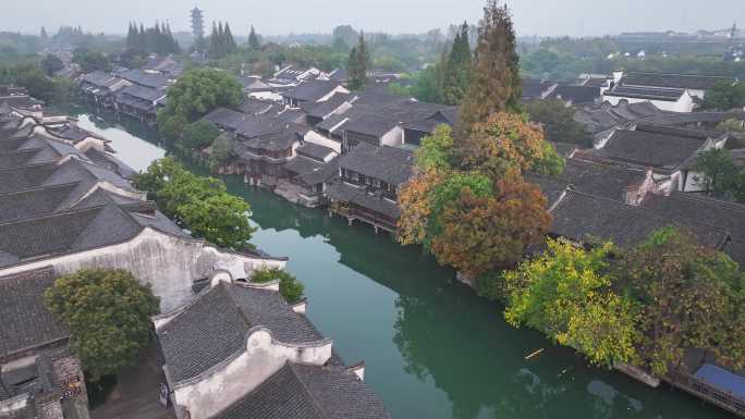 乌镇 江南水乡 西栅 古镇 秋天 风景区