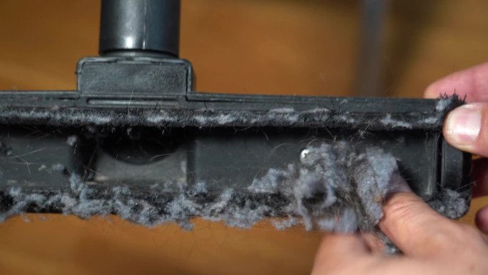 在家里做家庭清洁-用吸尘器吸地板，清除灰尘和头发-螨虫和过敏，猫和狗的毛发-在公寓客厅的生活方式