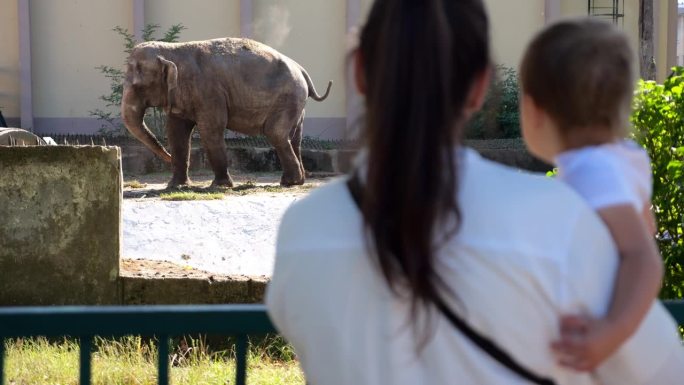 母亲带着女儿看着可敬的大象艰难地行走