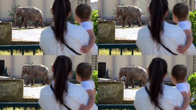母亲带着女儿看着可敬的大象艰难地行走