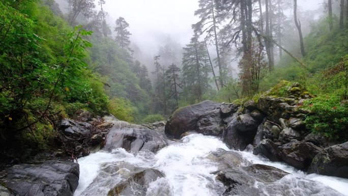 强大的山溪穿过巨大的巨石，沿着雾蒙蒙的雨林丛林，在恰特拉科拉定居点附近的马卡鲁巴伦国家公园。梅拉峰攀