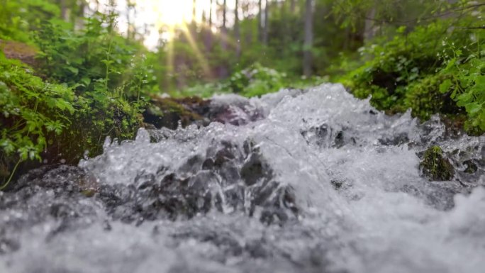 绿色森林里湍急的小溪伴着小瀑布。慢镜头，稳定镜头。清澈的水在小山河在森林