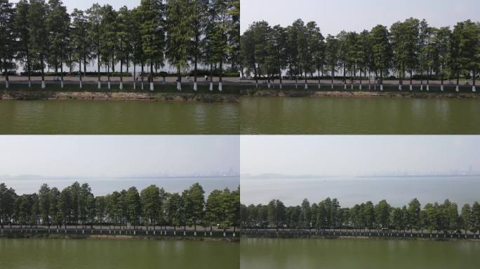 武汉东湖磨山景区东湖绿道航拍12