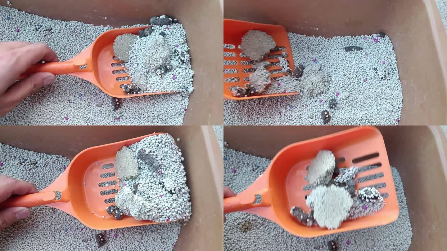 用过滤铲过滤硬化的猫粪，清洗猫砂盒