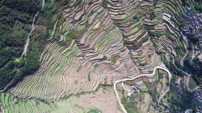 无人机在中国浙江省绍兴市阜之山东城村附近的原汁原味梯田上飞行。4k实时画面。