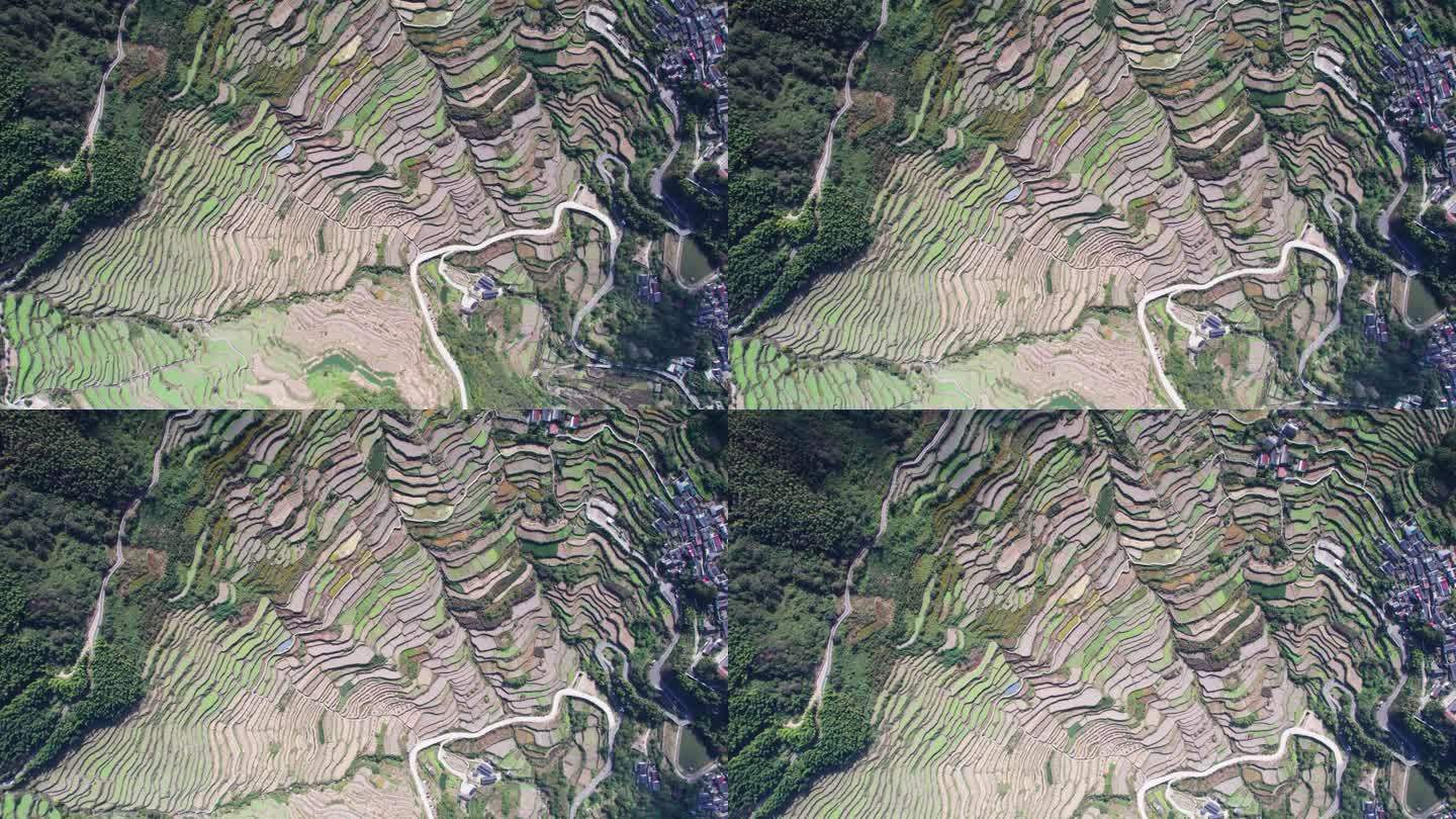 无人机在中国浙江省绍兴市阜之山东城村附近的原汁原味梯田上飞行。4k实时画面。
