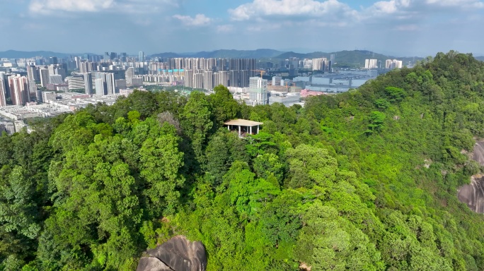 4K深圳市光明大雁山森林公园24