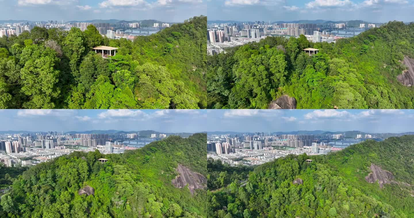 4K深圳市光明大雁山森林公园24