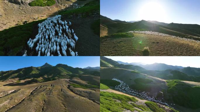 山地草原羊群4K航拍