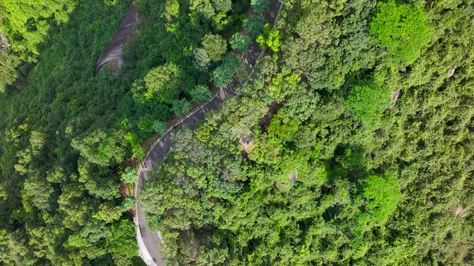 4K深圳市光明大雁山森林公园27