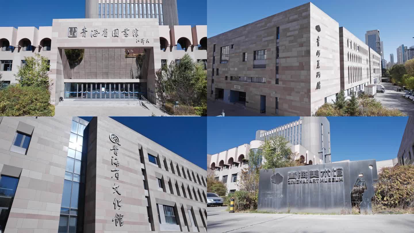 城市 青海省博物馆美术馆文化馆