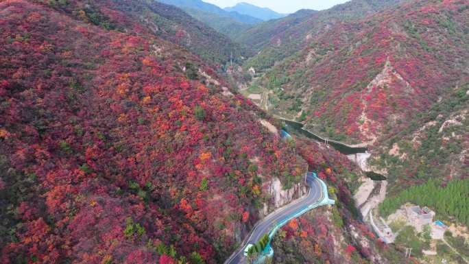 航拍济源王屋山红叶