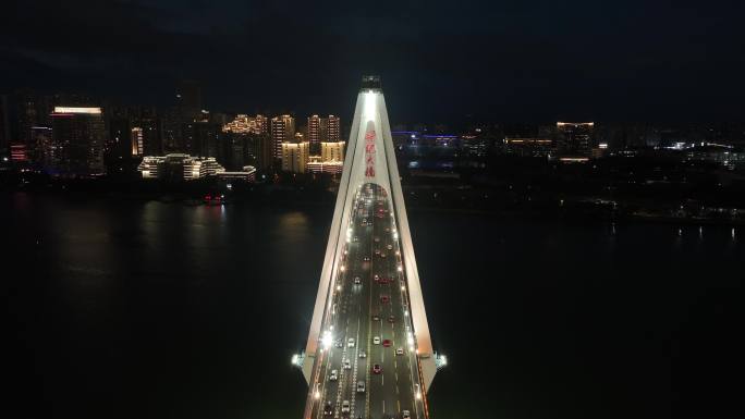 世纪大桥夜景航拍4k视频