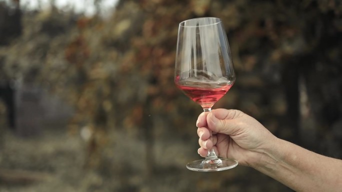 户外酒庄餐厅品酒游。在葡萄园的田野里，女性手握着一杯粉红色的葡萄酒。
