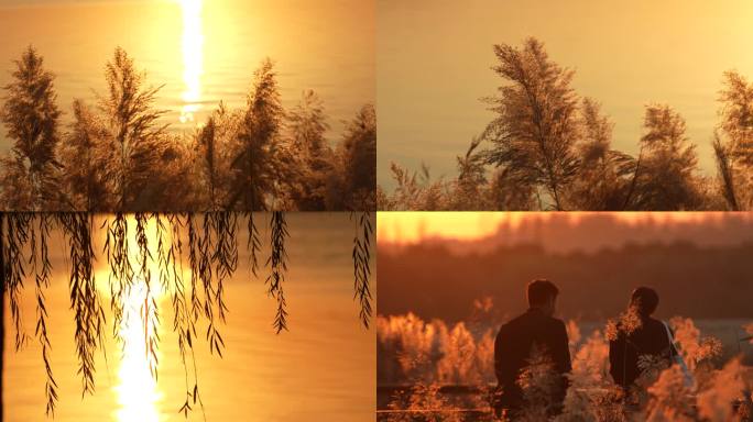 夕阳芦苇背影垂柳 水中夕阳 一道残阳