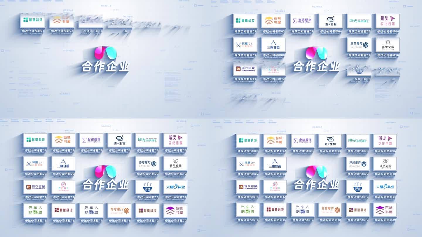 （20）企业二十大合作伙伴logo墙