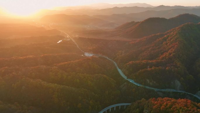 秦岭秋天森林红叶秋色秋天秋景生态黄柏塬