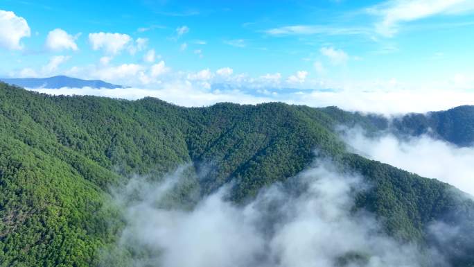 山区云海 大山云海