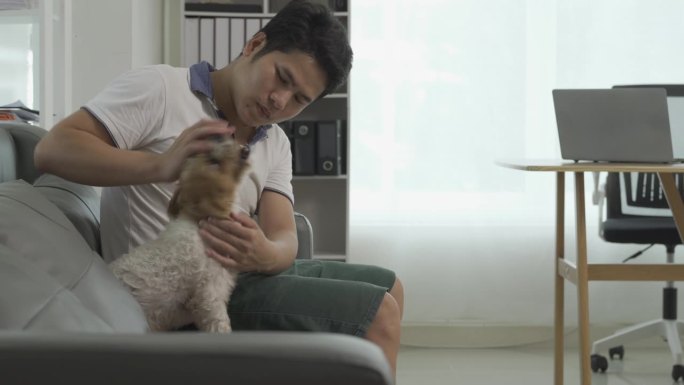 年轻的亚洲男子带着宠物狗在客厅的沙发上寻求帮助，爱和照顾。一个快乐的人躺在沙发上，亲吻小狗，和小狗玩