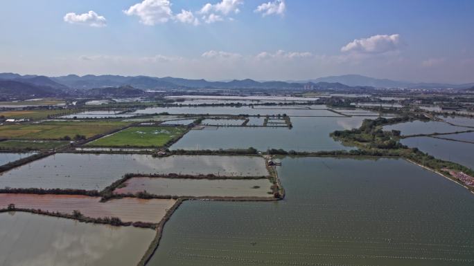 诸暨市山下湖镇 珍珠养殖业