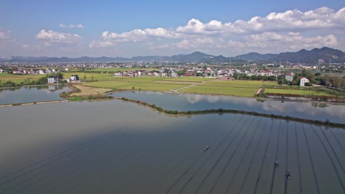 诸暨市山下湖镇 珍珠养殖业