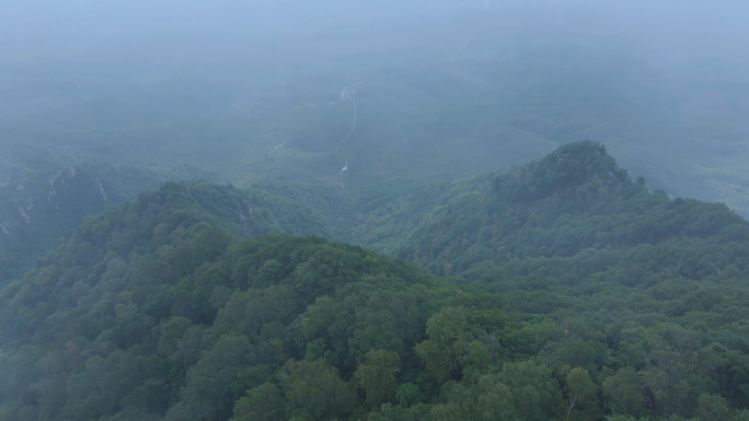 航拍森林云雾意境